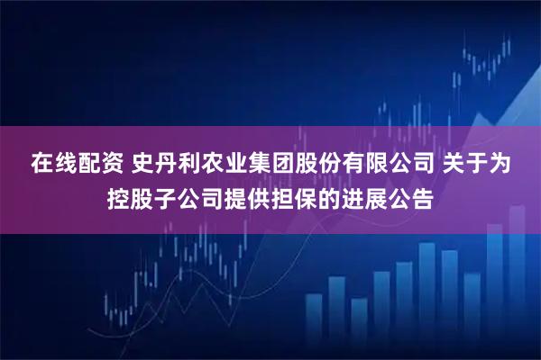 在线配资 史丹利农业集团股份有限公司 关于为控股子公司提供担保的进展公告